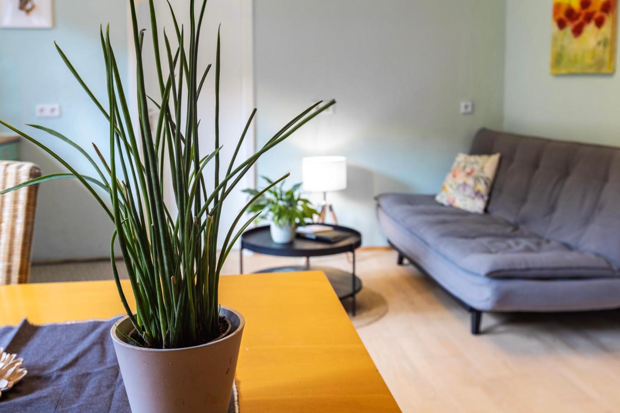 Ferienwohnung Karker 1 Радольфцелль-ам-Бодензе Екстер'єр фото